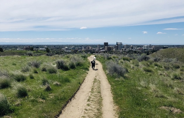 benefits of hiking Boise foothills